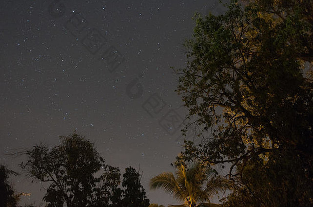 晚上天空明星树前景高iso图像
