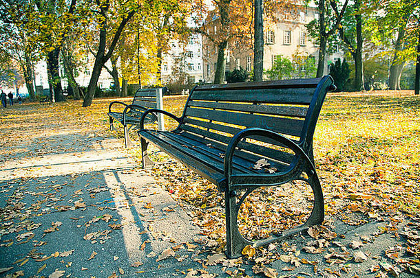板凳上秋天公园