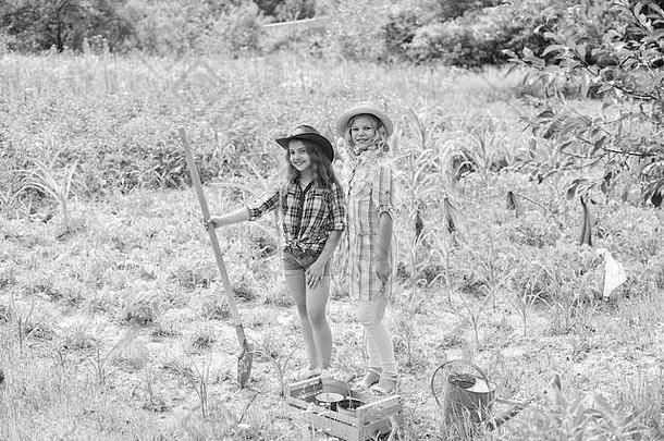 农业概念。姐妹们一起在农场帮忙。种植蔬菜。种植蔬菜。希望有好收成。女孩种植植物。在花园里干活的乡下孩子。种植和浇水。