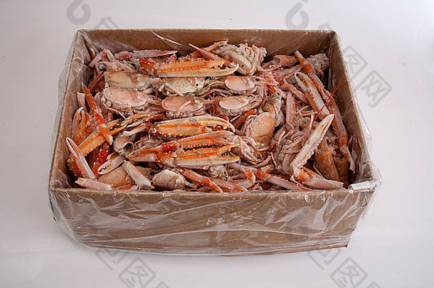 虾海鲜冰冻食物未煮过的生肉冰营养海生物商务买出售批发包数量