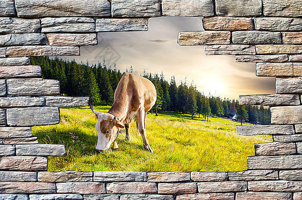 视图牛设置太阳洞石头墙
