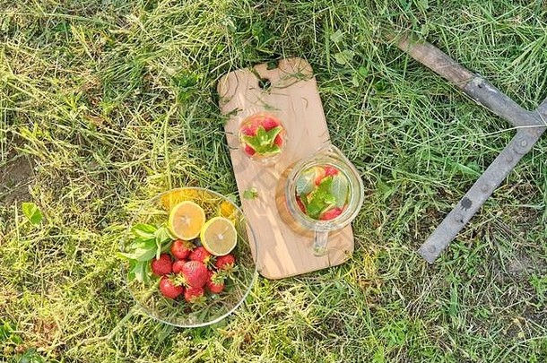 夏日清新的天然饮料，一壶一杯草上有草莓薄荷柠檬的花草茶，自然花园背景，健康的李