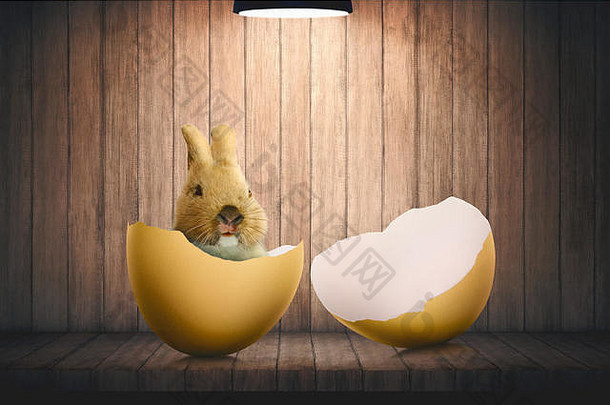 木桌上有小兔子的复活节彩蛋