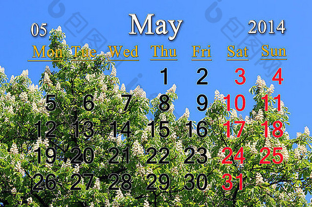 2014年5月的日历，以栗子树冠为背景