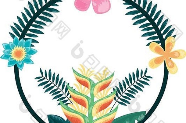 热带花环花叶框装饰
