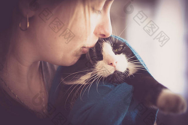猫和主人之间的爱的时刻。关于宠物和动物的概念
