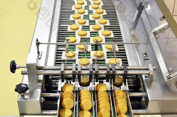 食品厂饼干输送带.机械设备