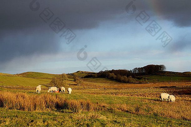 诺森伯兰羊场上空暴风雨般的天空，在哈德良长城附近吃草，<strong>英国风景</strong>