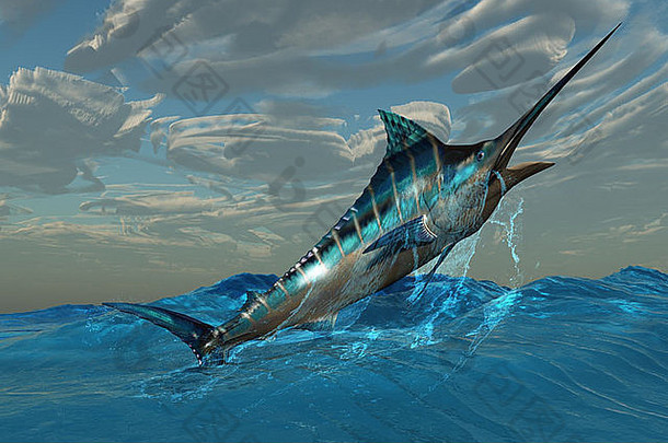 一条彩虹般<strong>的</strong>蓝色马林鱼以惊人<strong>的</strong>能量从海水中爆发。