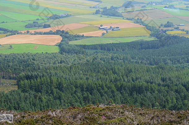 从苏格兰阿伯丁郡最著名的小山之一本纳奇山顶俯瞰全景