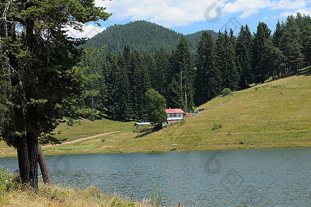 夏天风景别墅房子dospat湖洛多佩山保加利亚