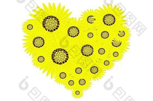 爱概念插图明亮的美丽的黄色的颜色向日葵形成心形状孤立的