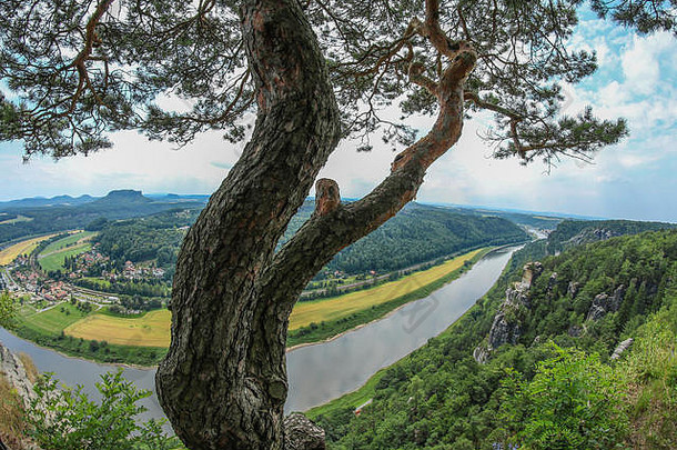 一张来自德国撒克逊瑞士的照片。下面是河上的景色，周围是美丽的草地。夏季的宁静景色。