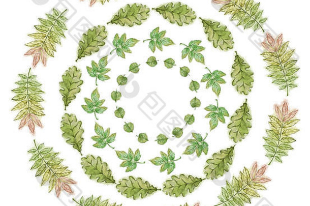 集绿色叶花环叶花环集合孤立的白色背景森林树叶子圆形设计夏天叶子圆形