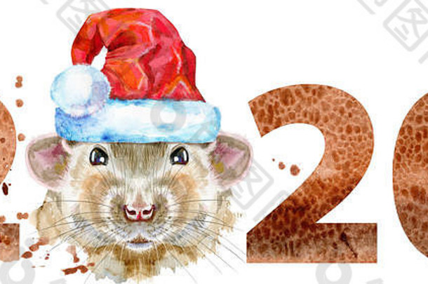 可爱的老鼠t恤图案。水彩画《圣塔帽子里的老鼠》插图，2020年