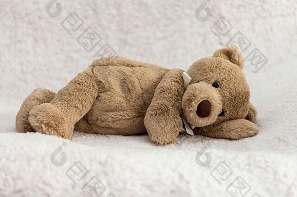 泰迪熊信息设置婴儿摄影集照明摆姿势背景相机设置介绍婴儿