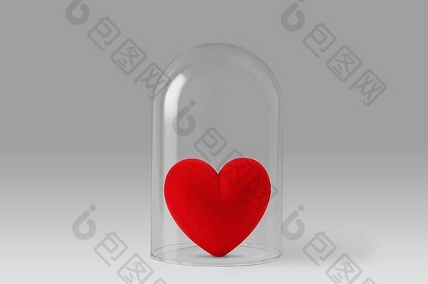 玻璃钟下的心——爱与保护理念