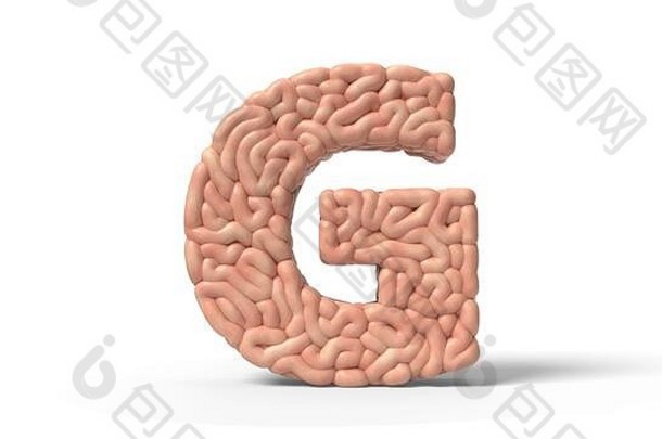 人类大脑形状信合适的大脑生物学医学科学字体。主题插图