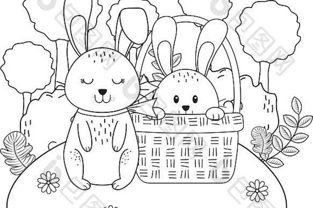 兔子篮子花园