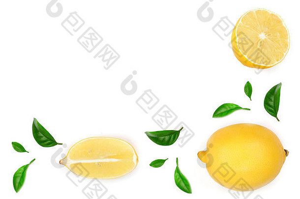 柠檬叶子片孤立的白色背景复制空间文本平躺前视图