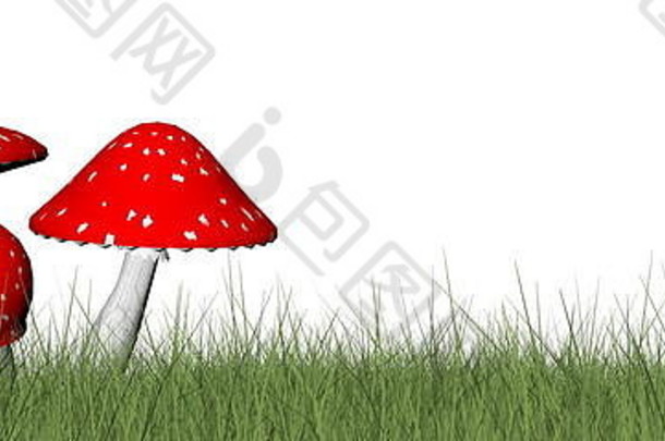红色的蘑菇草孤立的白色背景渲染