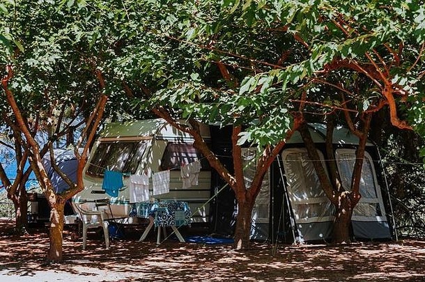 露营地森林中的旅游帐篷。夏天在大自然中露营。旅行背景。户外野餐的地方。