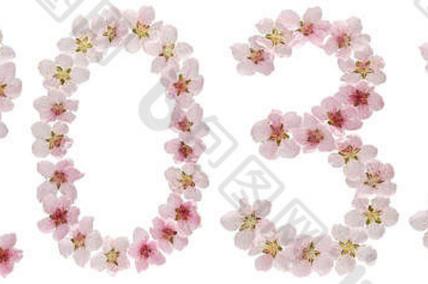 铭文2033，取自桃树的天然粉色花朵，孤立于白色背景上