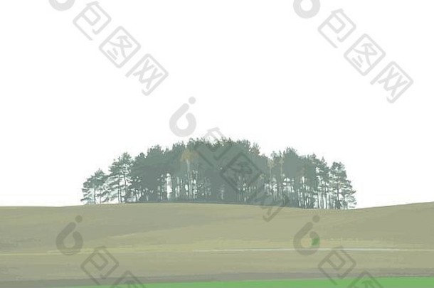 白色背景上孤立的树影。维克托图解。EPS10