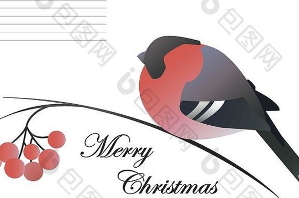 白色背景上的牛头雀、罗文树枝和略带红色浆果组成的圣诞图案