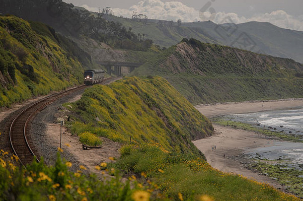 美国加利福尼亚州圣巴巴拉县，Surfliner客运特快列车沿着太平洋边的悬崖在铁轨上行驶