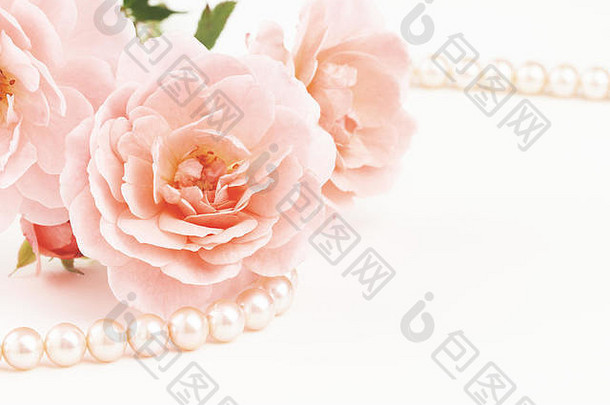 淡粉色玫瑰和一串珍珠<strong>的</strong>特写镜头。带有复印空间<strong>的</strong>柔和灰尘色。