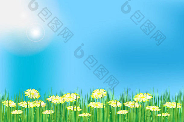 春/夏背景-草地上有草和牛眼雏菊花