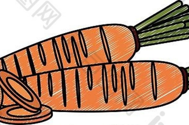 胡萝卜新鲜蔬菜涂鸦