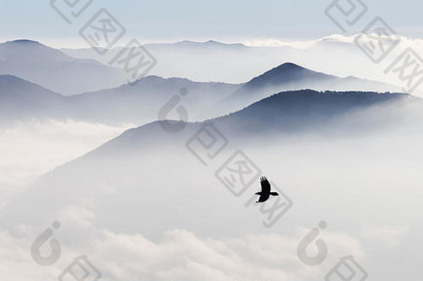 群山背景上的飞鸟在雾中勾勒出轮廓。全景镜头