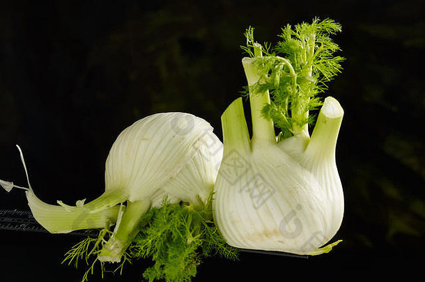 茴香灯泡蔬菜食物静物照片