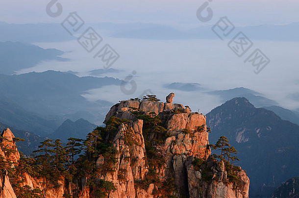 中华人民共和国黄山黄山峡谷，猴子在晨曦中望着海峰