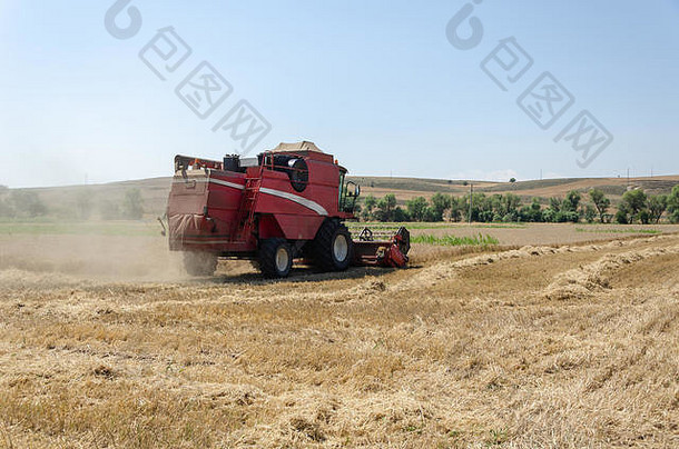 收割机收获小麦场夏天