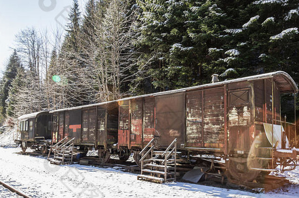 火车特写镜头雪铁路跟踪冬天时间山松树森林