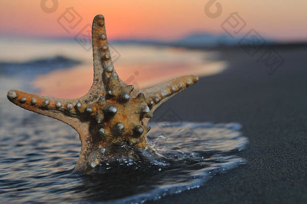 夏日海滩日落，海滩上的星星代表<strong>自由</strong>清新和<strong>旅<strong>游</strong>理念