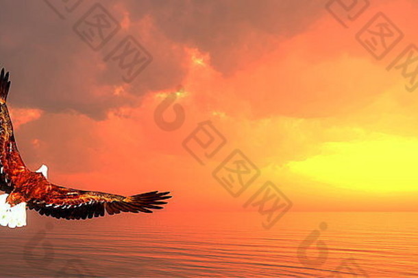 日落时在海洋上飞翔的鹰-3D渲染