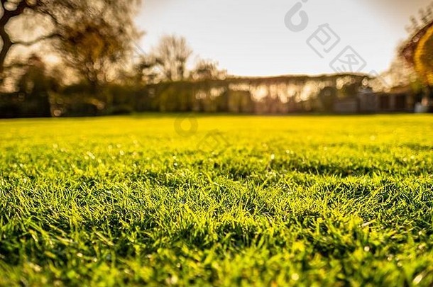 日<strong>落</strong>前在一个大花园内看到的维护良好且最近修剪的草坪的地面视图。<strong>金</strong>黄色的<strong>光线</strong>正源源不断地照射进来。