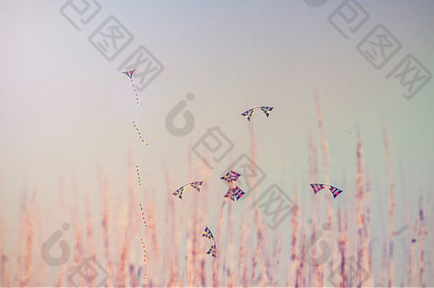 彩色风筝在草地后面的蓝天上飞翔的复古照片。