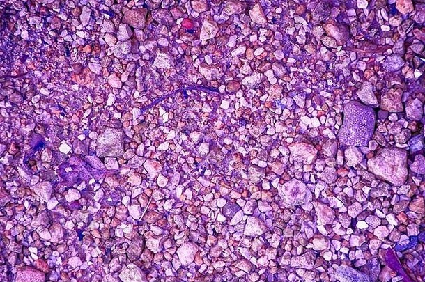 超紫色卵石表面，石头纹理或岩石背景，地面背景。