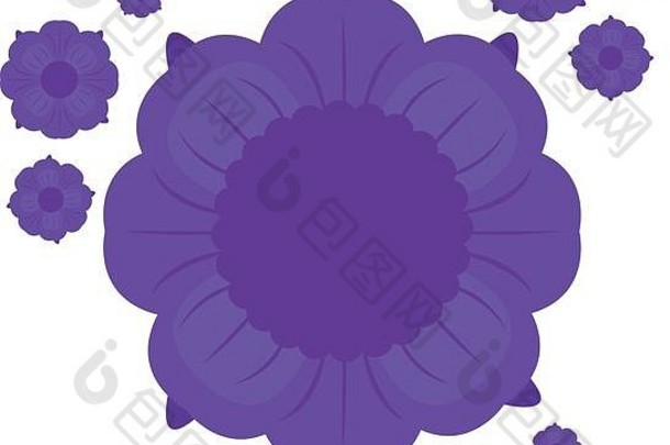 孤立的紫色花
