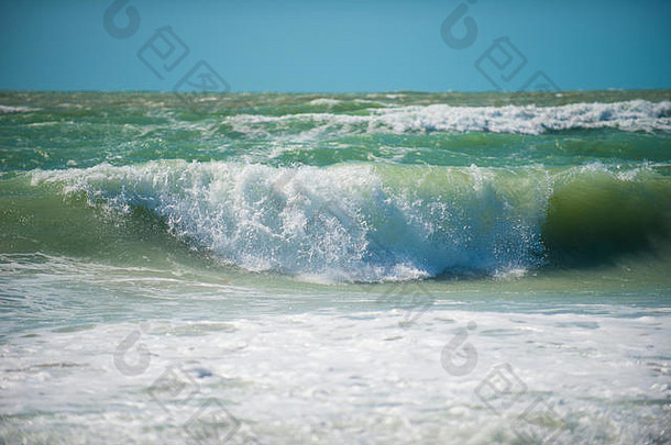 威尼斯海滩佛罗里达美国波