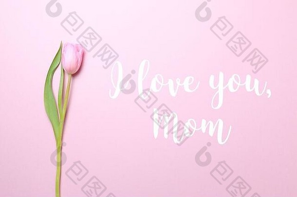 我爱你，妈妈，粉色背景上点缀着粉色郁金香。平面布置，俯视图。母亲节节日庆祝卡。水平的