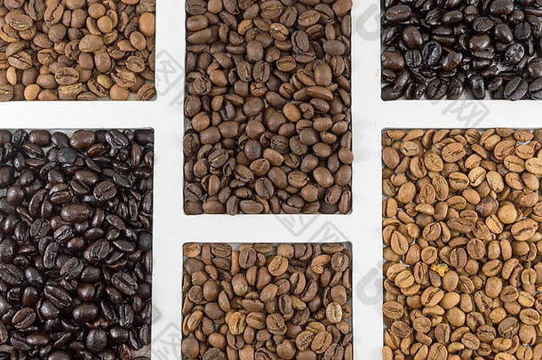 不同类型的咖啡粒在白色容器中被拍平