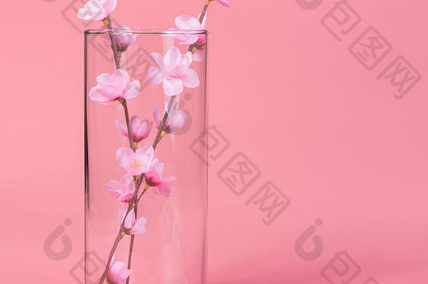 玻璃杯状人工桃子花花粉红色的背景