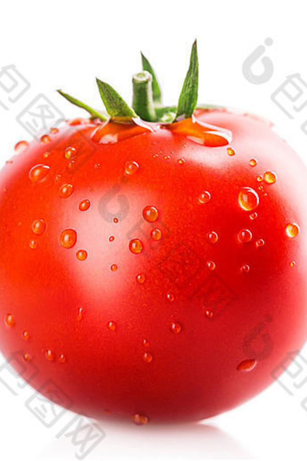 番茄孤立的白色背景