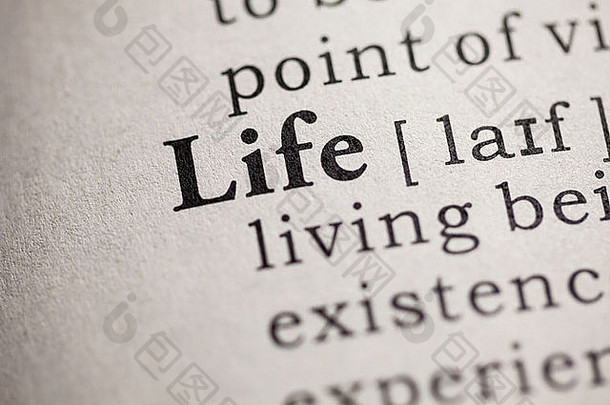 假字典，生命这个词的定义。